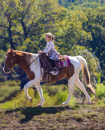 HorseID: 2305107 Boots MW - PhotoID: 1088379