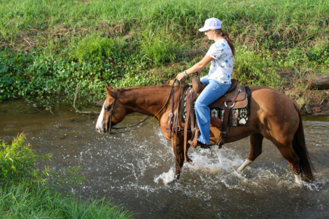 HorseID: 2305108 Henrietta TC - PhotoID: 1088382