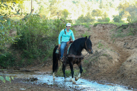 HorseID: 2305109 Milly TR - PhotoID: 1088374