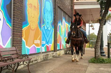 HorseID: 2305109 Milly TR - PhotoID: 1088375