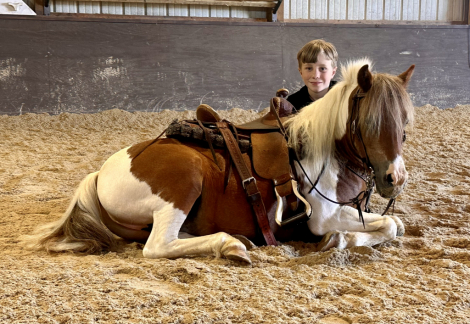 HorseID: 2305116 Barley - PhotoID: 1088390