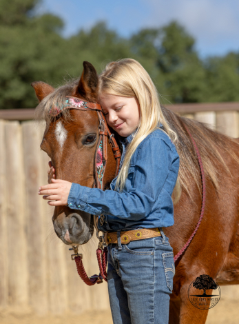 HorseID: 2305133 MAPLE SYRUP - PhotoID: 1088414