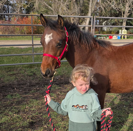 HorseID: 2305135 Prairie Hill CalamityJane - PhotoID: 1088650
