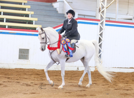 HorseID: 2305148 Harshad MA - PhotoID: 1088432