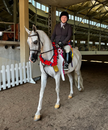 HorseID: 2305148 Harshad MA - PhotoID: 1088434