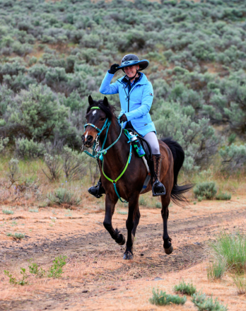 HorseID: 2305163 Pip the pony - PhotoID: 1088451