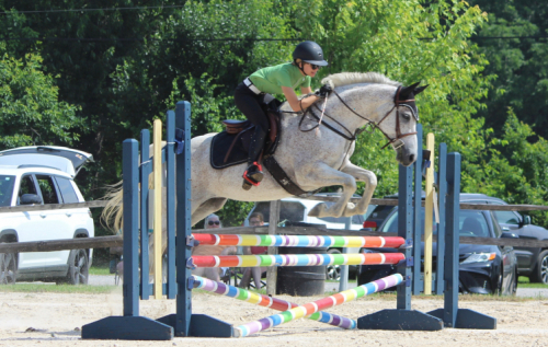 HorseID: 2305183 Snow - PhotoID: 1088473