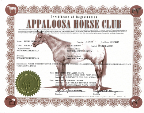 HorseID: 2305202 DUDES DIPPIN DOTS - PhotoID: 1088497