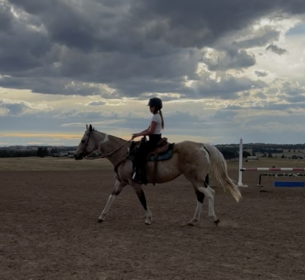 HorseID: 2305212 Bendaras A Rebel - PhotoID: 1088505