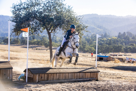 HorseID: 2305218 Salsa - PhotoID: 1088513