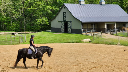 HorseID: 2305232 Tatianna - PhotoID: 1088528