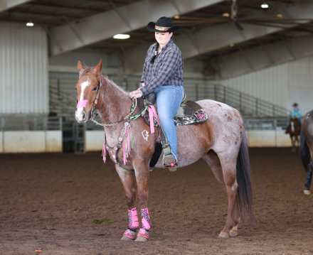 HorseID: 2305246 Surely A True Pepto - PhotoID: 1088545