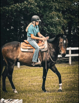 HorseID: 2305259 Mochacinno Chips - PhotoID: 1088704