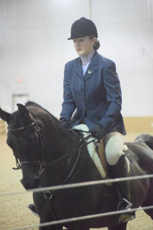 HorseID: 2305263 Django SF - PhotoID: 1088561