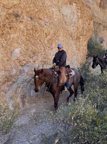 HorseID: 2305265 Freckles Olena Chick - PhotoID: 1089781