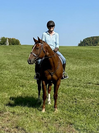 HorseID: 2305272 Flynn - PhotoID: 1088579