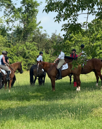 HorseID: 2305272 Flynn - PhotoID: 1088582