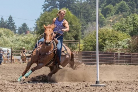 HorseID: 2305291 Rosie - PhotoID: 1088607