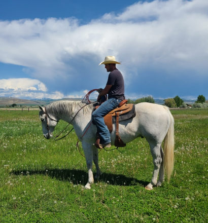 HorseID: 2305303 DragonFireFly - PhotoID: 1088620