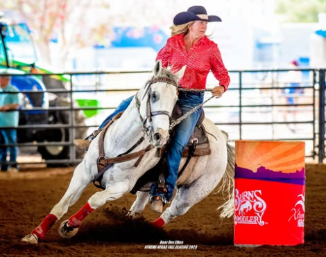 HorseID: 2305306 Snow Commander SI - PhotoID: 1088697