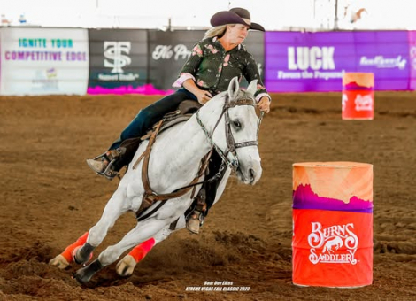 HorseID: 2305306 Snow Commander SI - PhotoID: 1088698