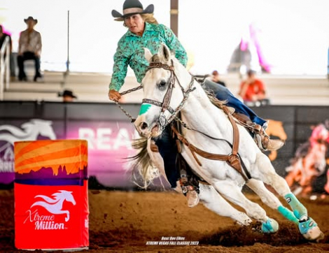 HorseID: 2305306 Snow Commander SI - PhotoID: 1088699