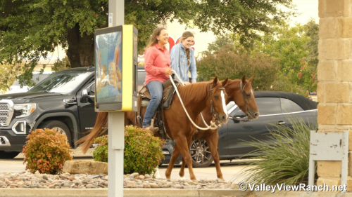 HorseID: 2305342 Richish - PhotoID: 1088686