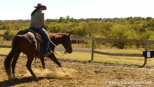 HorseID: 2305346 Peekin At Hugh - PhotoID: 1088689