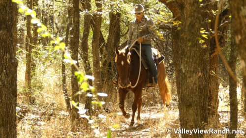 HorseID: 2305346 Peekin At Hugh - PhotoID: 1088690