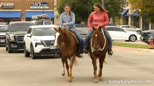 HorseID: 2305346 Peekin At Hugh - PhotoID: 1088691