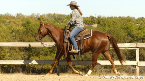 HorseID: 2305346 Peekin At Hugh - PhotoID: 1088692