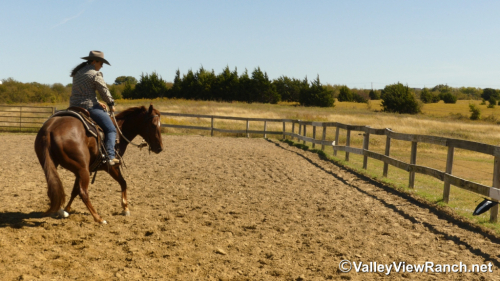 HorseID: 2305346 Peekin At Hugh - PhotoID: 1088694