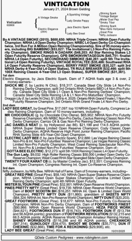 HorseID: 2305375 Vintication - PhotoID: 1088725