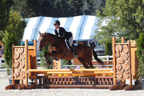 HorseID: 2305380 Mustang Z - PhotoID: 1088727