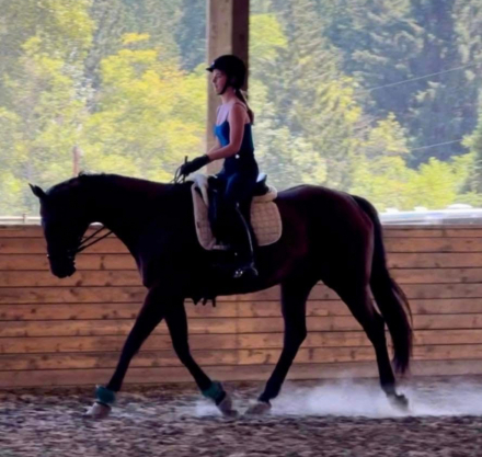 HorseID: 2305381 Miss Lafayette - PhotoID: 1088728