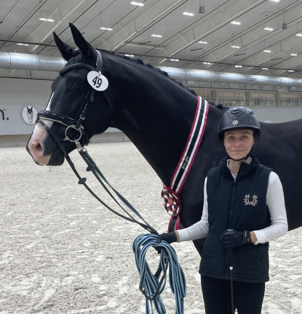 HorseID: 2305387 D'Artagnan HC - PhotoID: 1088737