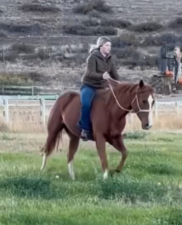 HorseID: 2305396 Willa - PhotoID: 1088746