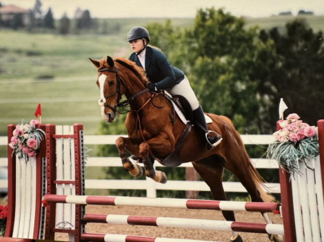 HorseID: 2305408 Kador - PhotoID: 1088765