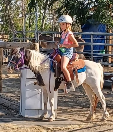 HorseID: 2305410 Marble - PhotoID: 1088769