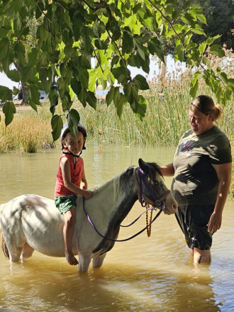 HorseID: 2305410 Marble - PhotoID: 1088770