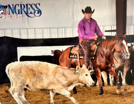 HorseID: 2305419 Rey Quixote Mite - PhotoID: 1088779