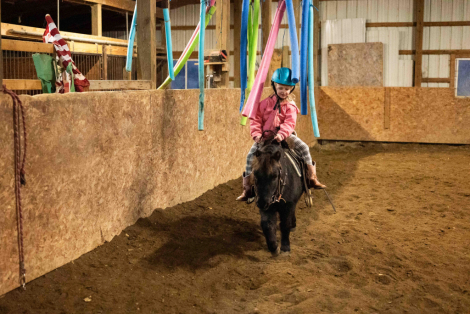 HorseID: 2305424 Watch Video! Gentle, Safe & Fun! - PhotoID: 1088787