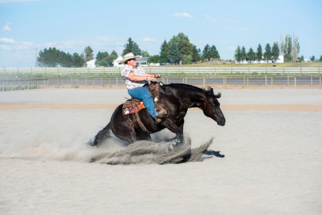 HorseID: 2305432 Tuf Chickasha Chex - PhotoID: 1088802