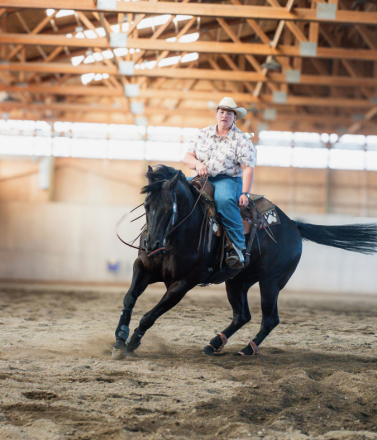 HorseID: 2305432 Tuf Chickasha Chex - PhotoID: 1088805