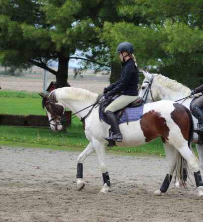 HorseID: 2305447 Eclaire - PhotoID: 1088819