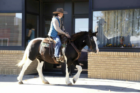 HorseID: 2305448 Arizona SK - PhotoID: 1088841