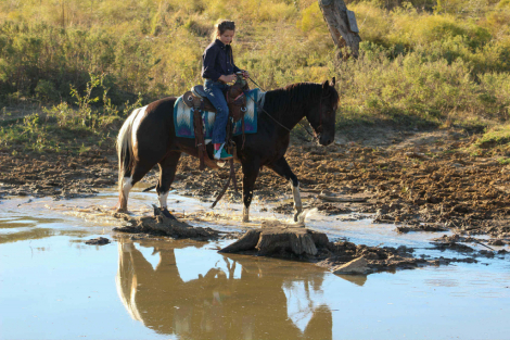 HorseID: 2305450 Batman MW - PhotoID: 1088845