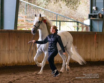 HorseID: 2305458 Tequila - PhotoID: 1088826