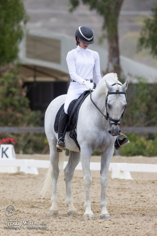 HorseID: 2305458 Tequila - PhotoID: 1088827