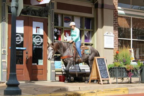 HorseID: 2305463 Stormy TR - PhotoID: 1088834